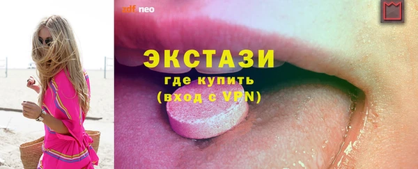 индика Мегион