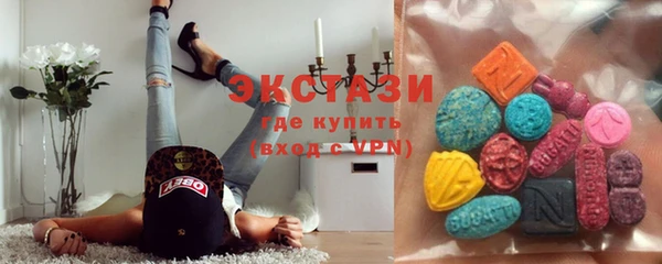 индика Мегион
