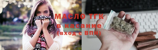 индика Мегион