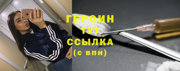 индика Мегион