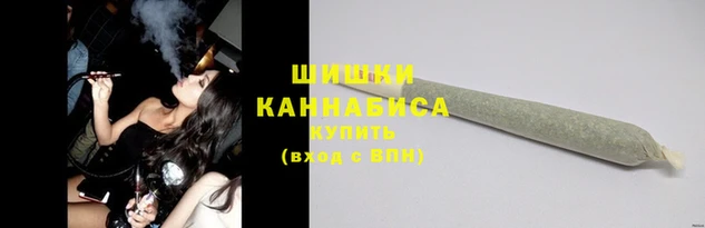 индика Мегион