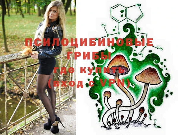 герыч Медногорск