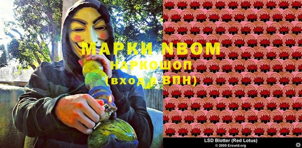 индика Мегион