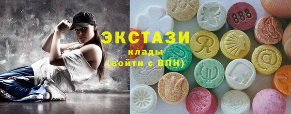 индика Мегион