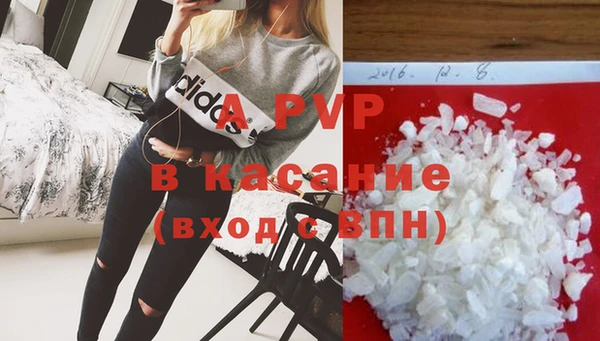 индика Мегион
