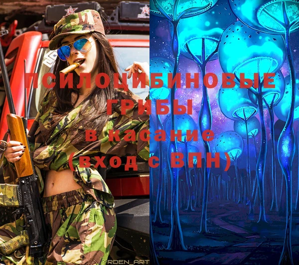 индика Мегион