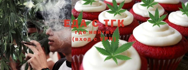 индика Мегион