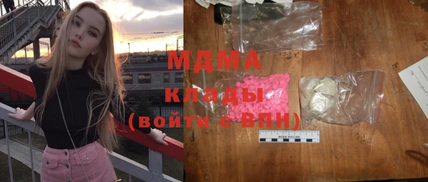 индика Мегион