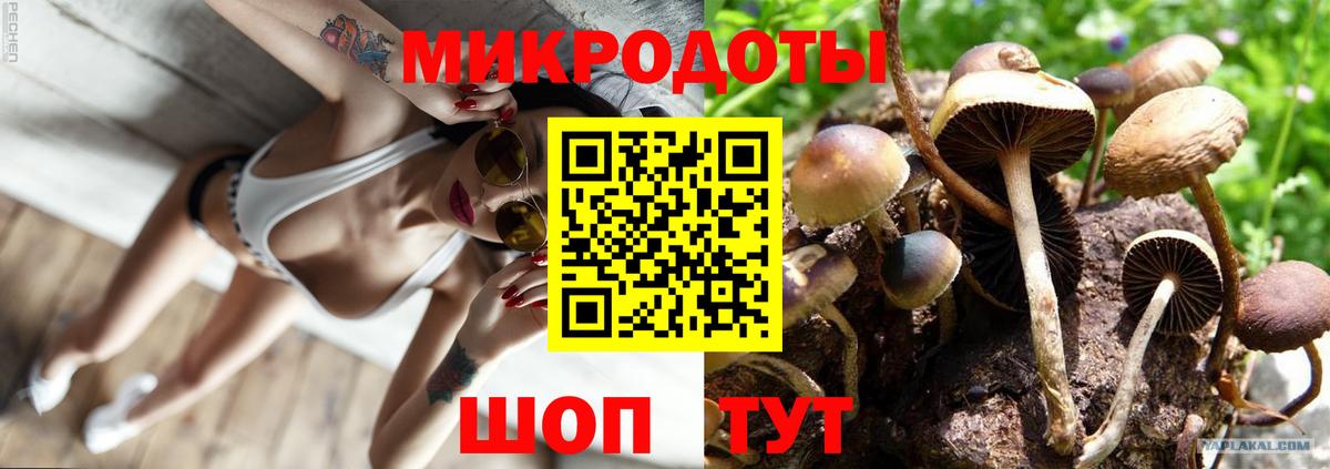 Нальчик  Галлюциногенные грибы MAGIC MUSHROOMS  дарнет шоп  Вход с VPN  Галлюциногенные грибы Psilocybe 