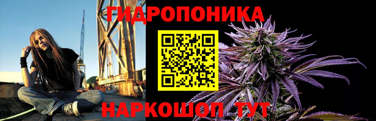 Cocaine Нальчик